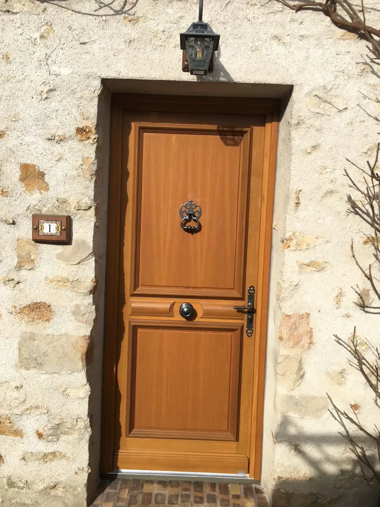 porte entrée bois